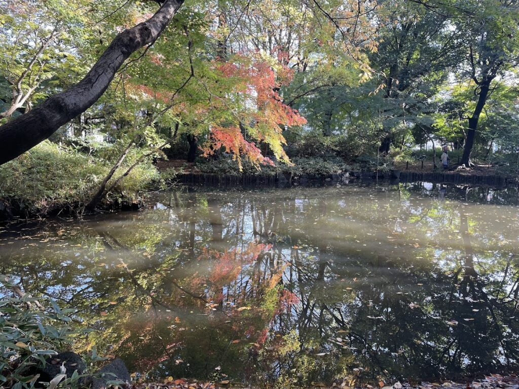 記念庭園の池