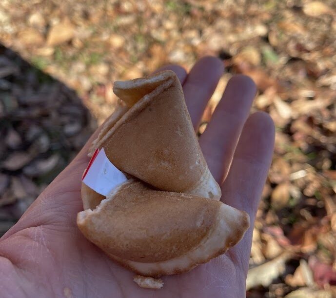 おみくじ煎餅の割れた様子