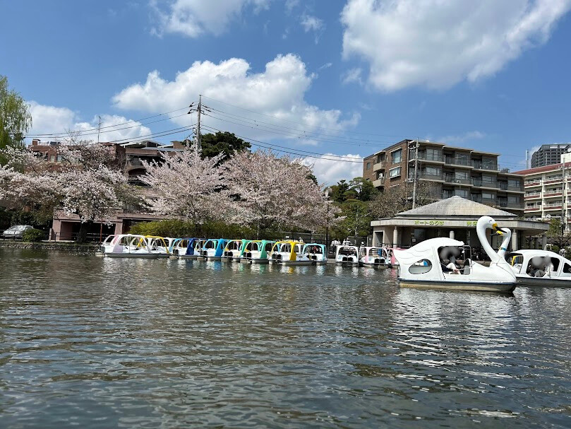 ボートに乗船中の景色