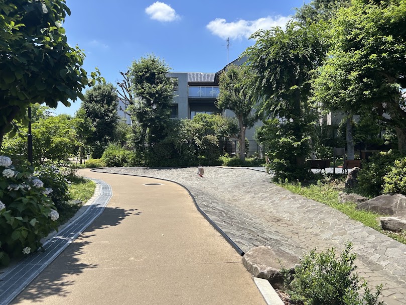 和田堀緑道に東側から入った際の様子