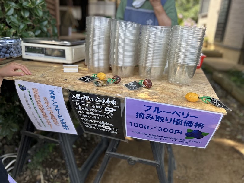 ブルーベリー摘み取り受付
