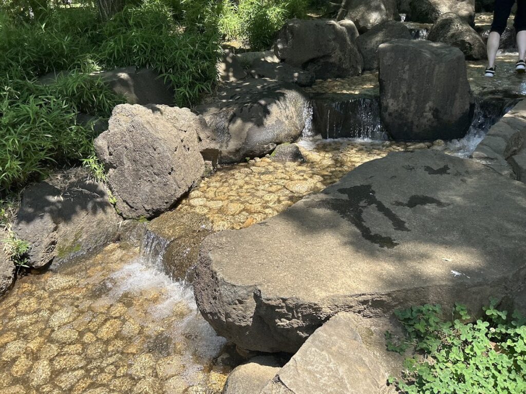 水遊びエリア(流れ)