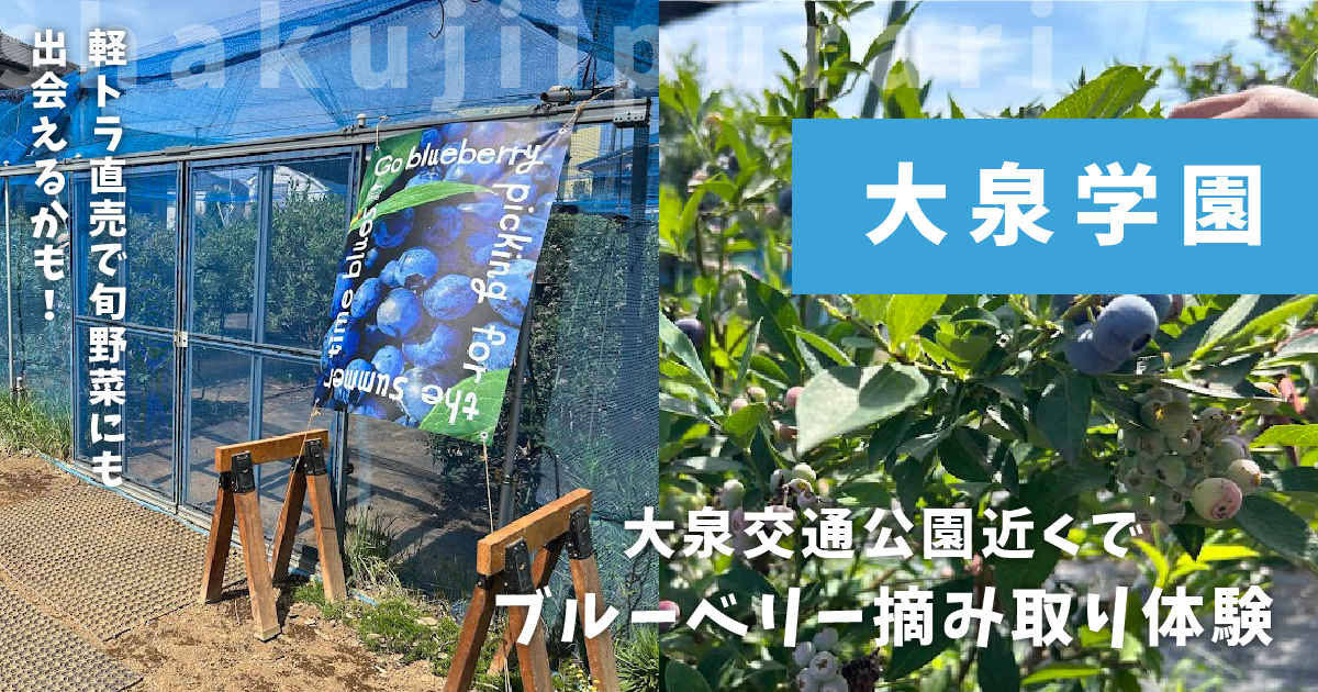 おみのえんブルーベリー摘み取り体験
