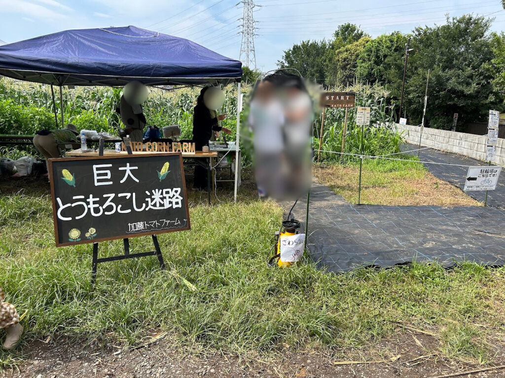 巨大とうもろこし迷路入口