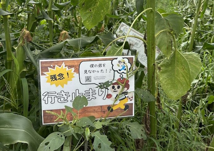 行き止まり貼り紙