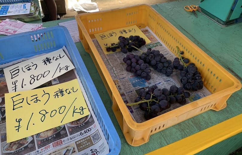 直売所の様子