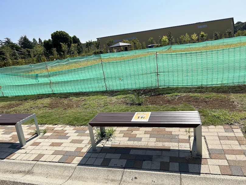 芝生広場