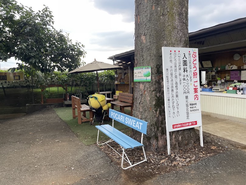 所沢ぶどう園受付