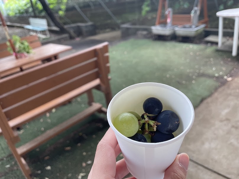 味見用にいただいたぶどう