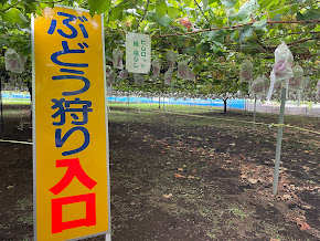 所沢ぶどう園入口