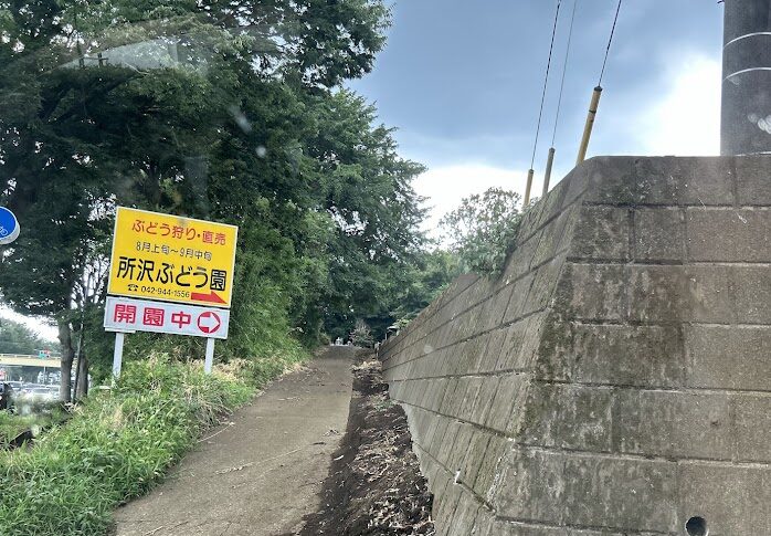 所沢ぶどう園看板