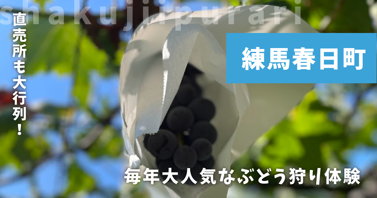 鹿島ぶどう園