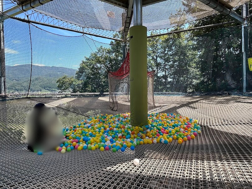 ハネッタ