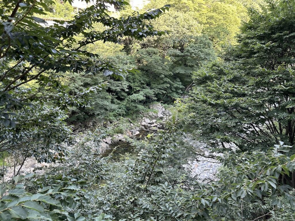 窓からの眺め