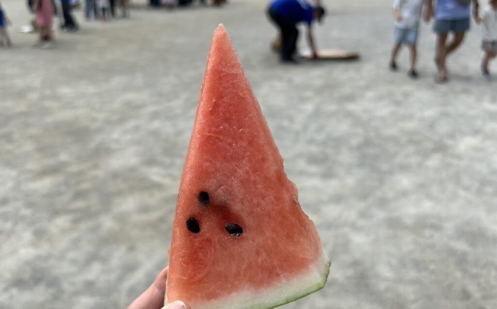 スイカ