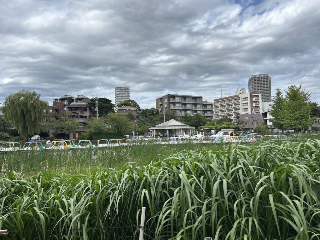ふくろう広場から見たボート乗り場