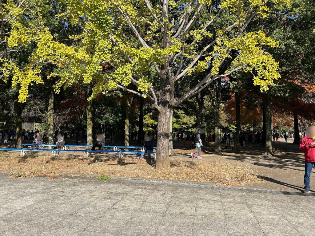 練馬大根購入行列の様子