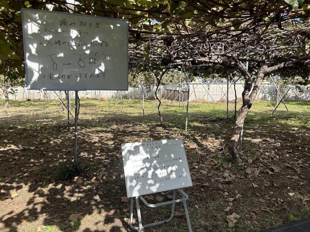 摘み取り方法の掲示