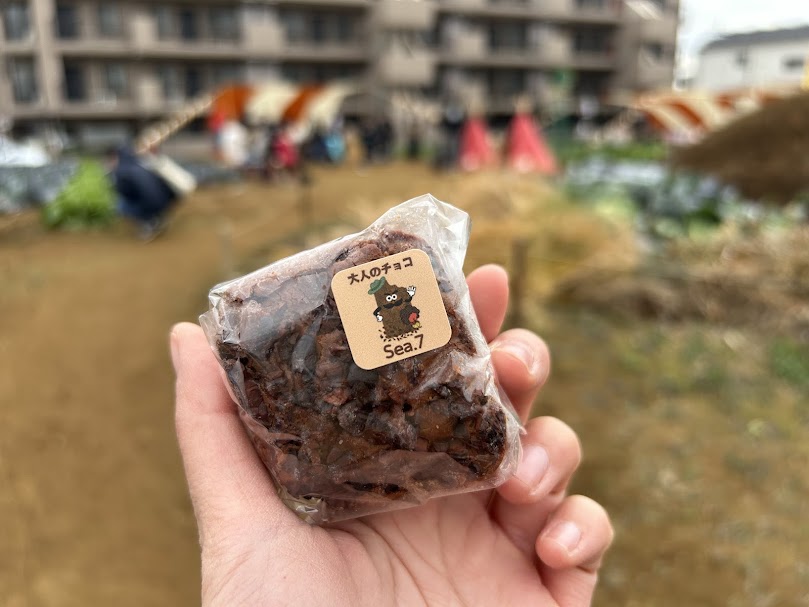 大人のチョコチーズケーキ