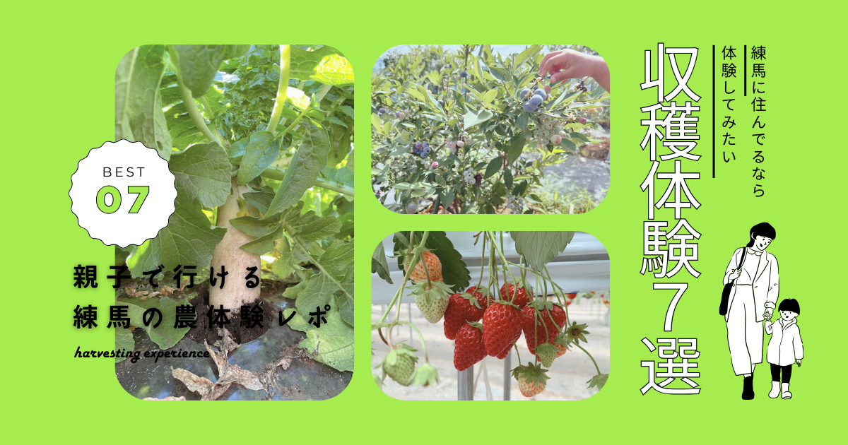 収穫体験7選