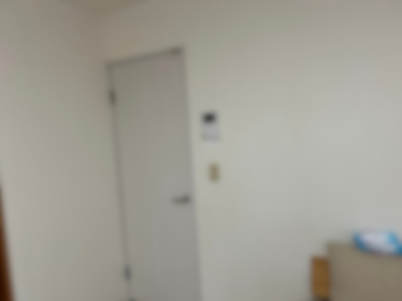 リビングドアのリフォーム