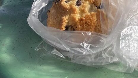 チョコチップスコーン