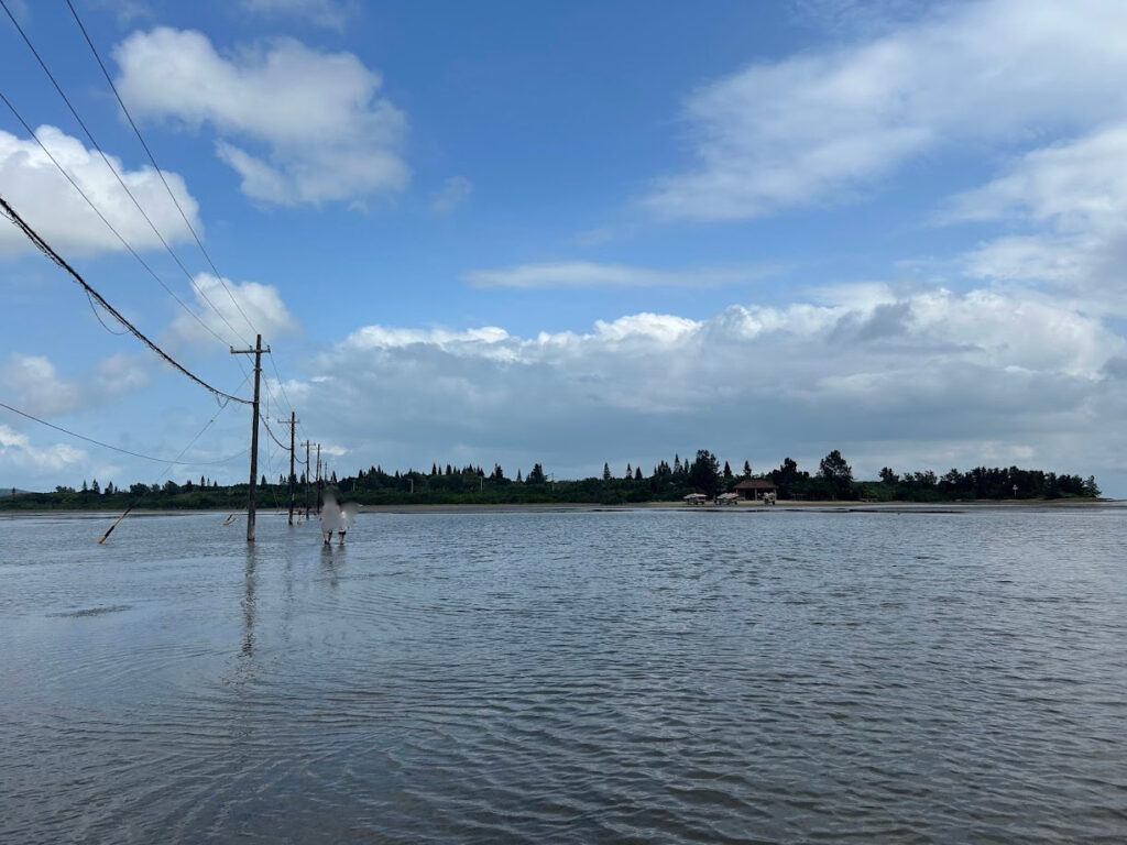 由布島から歩いて西表島へ