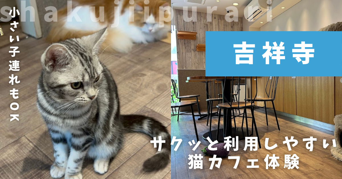 猫喫茶 空陸家plus