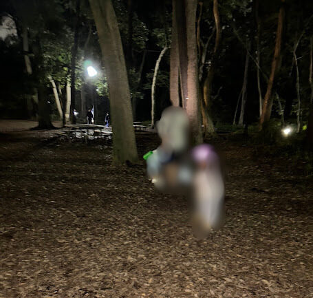 くぬぎ広場の様子