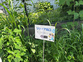 リタイア出口