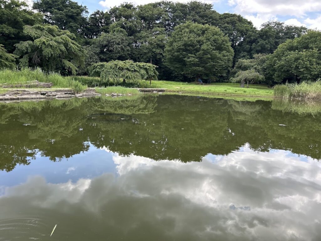 清瀬金山緑地公園内