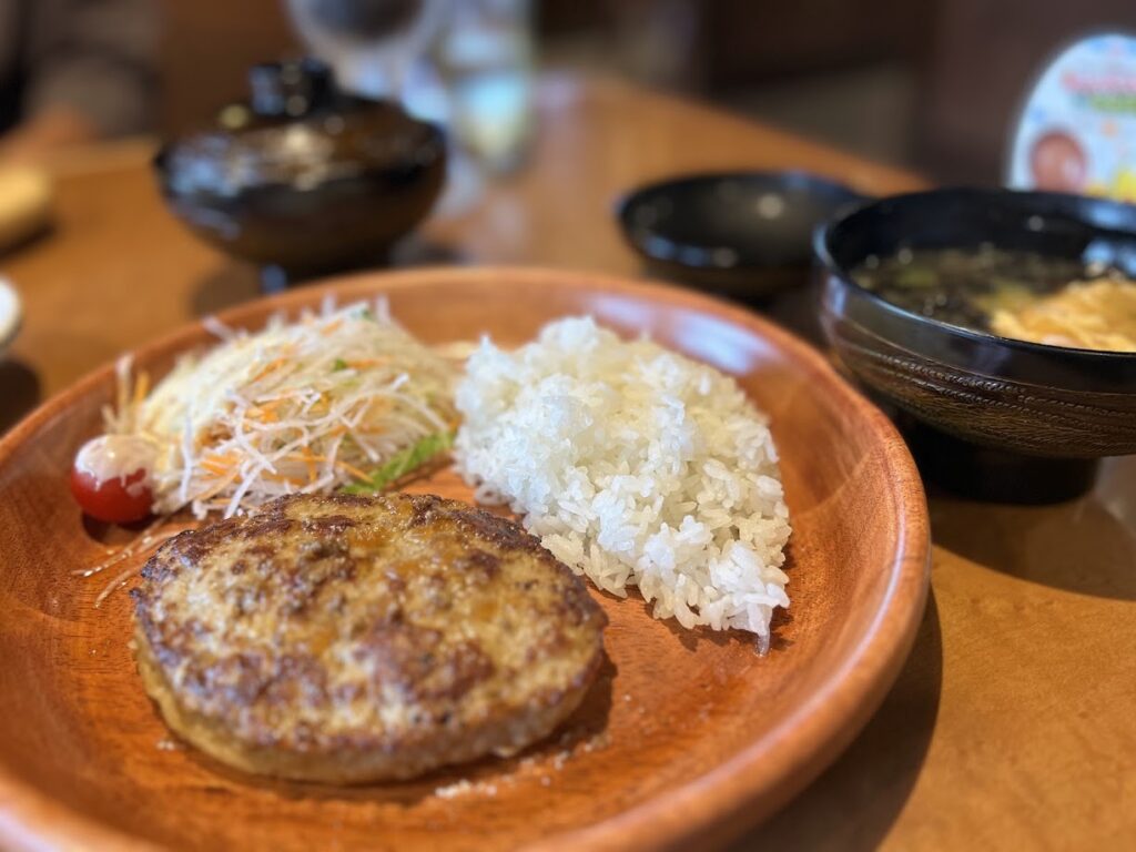 レギュラーバーグディッシュランチ