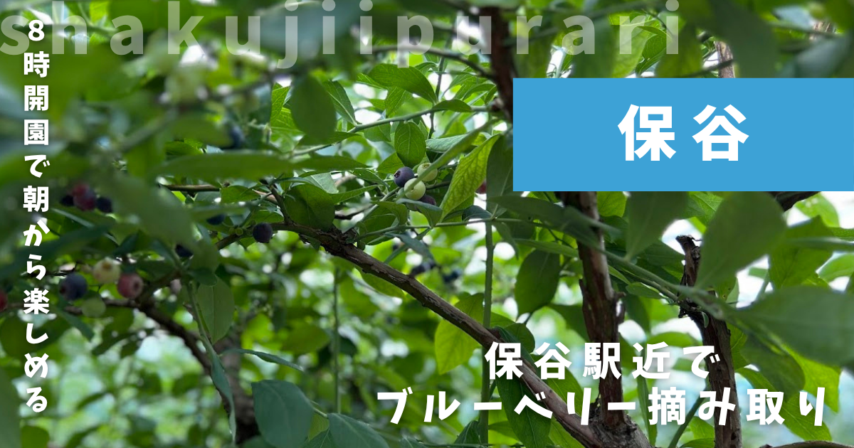 高橋ベリーガーデン