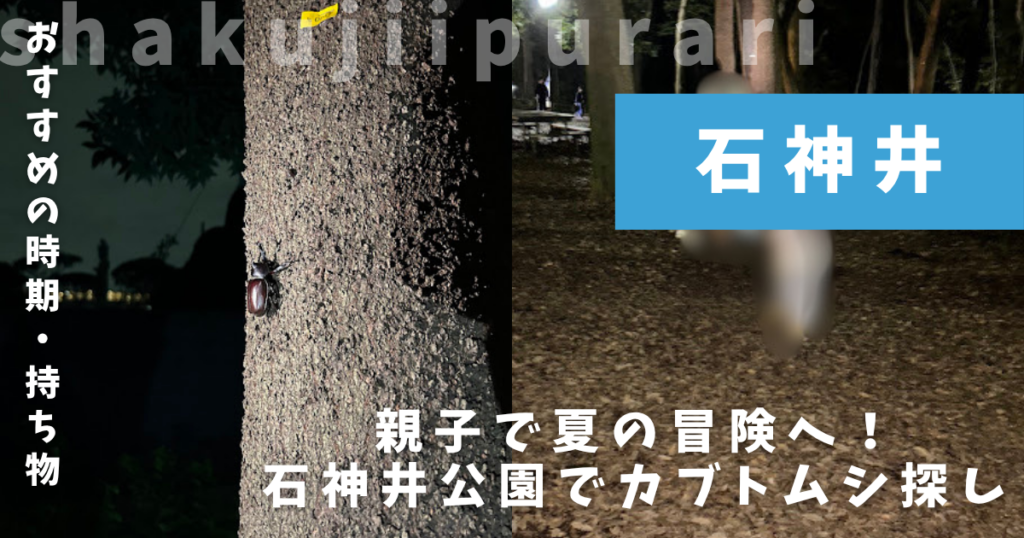 カブトムシ採集
