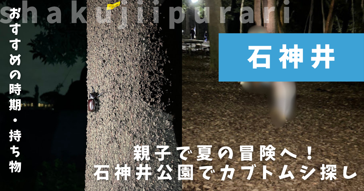 カブトムシ採集