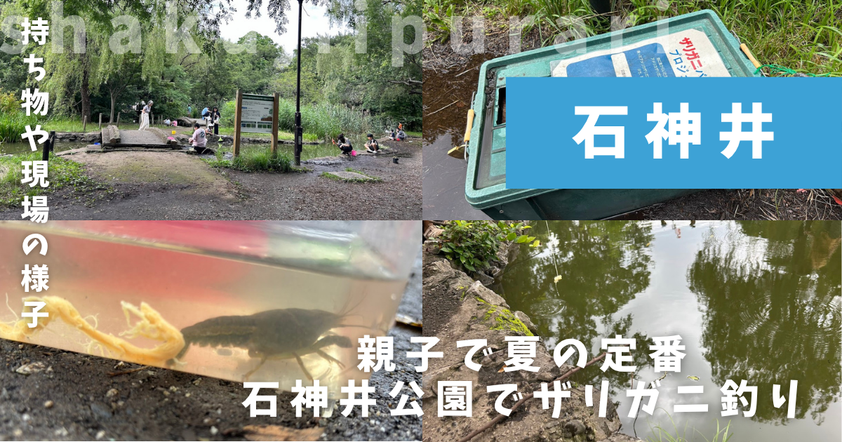 石神井公園ザリガニ