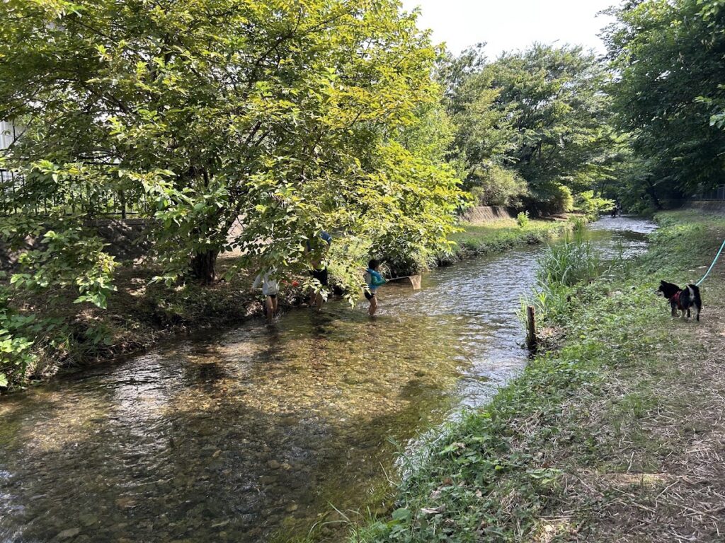 落合川