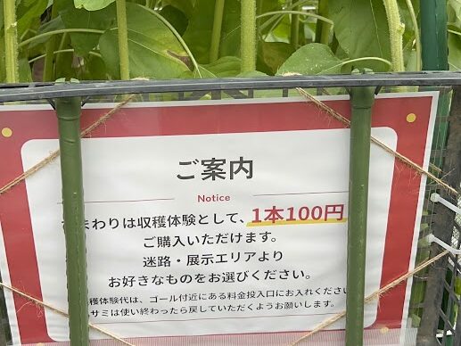 ひまわり迷路案内図