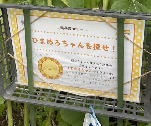 ひまめろちゃん探し