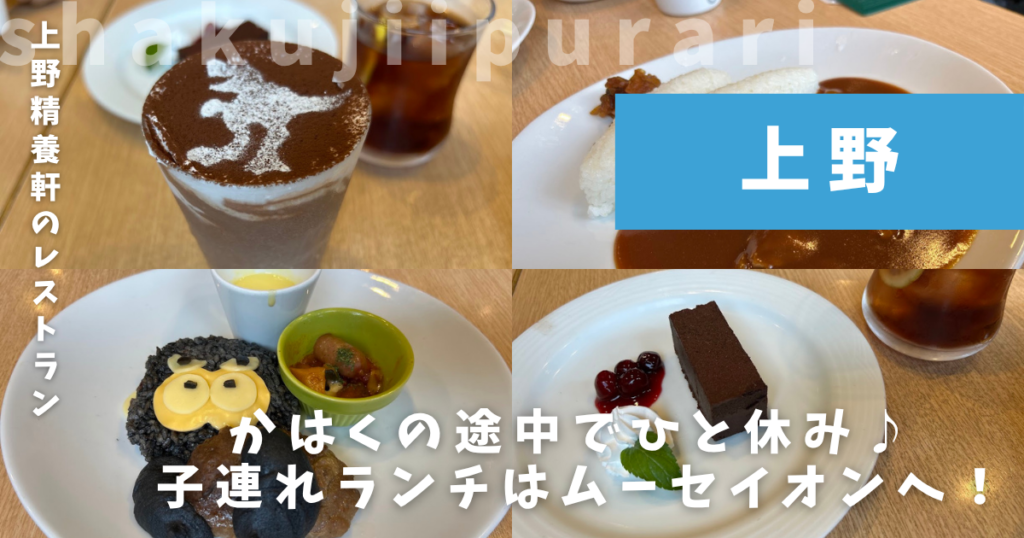 ムーセイオン