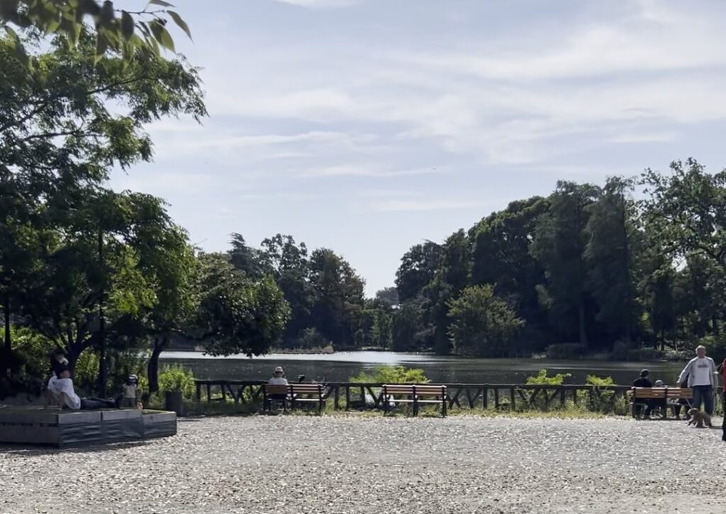 善福寺公園