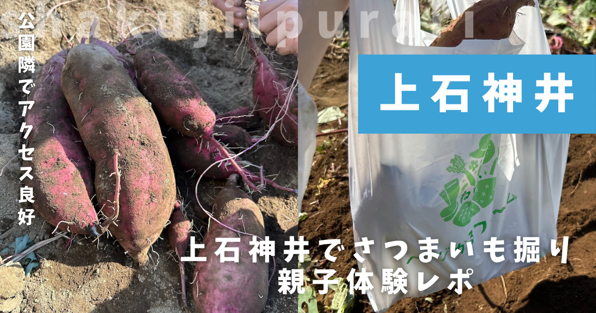 ベジファームかのんさつまいも
