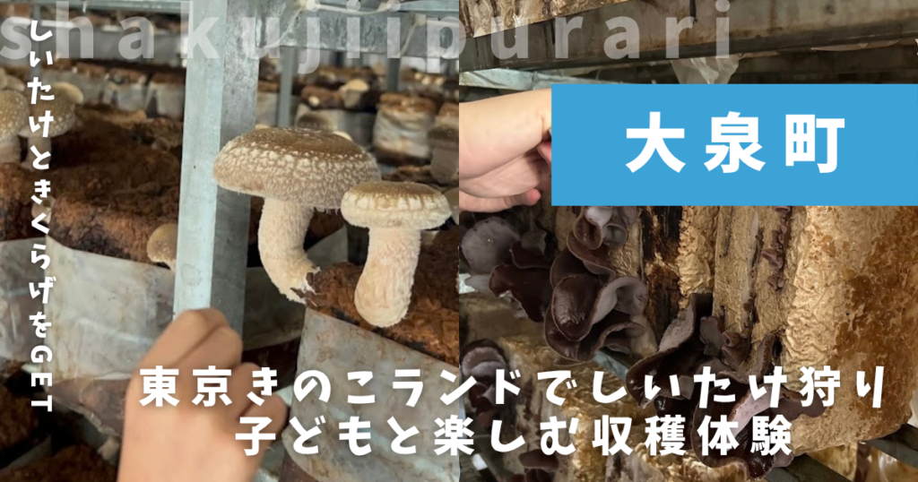 東京きのこランド