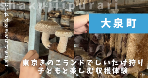 東京きのこランド