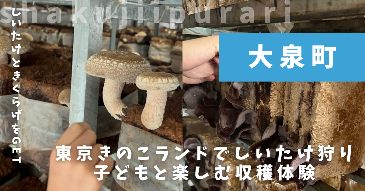 東京きのこランド